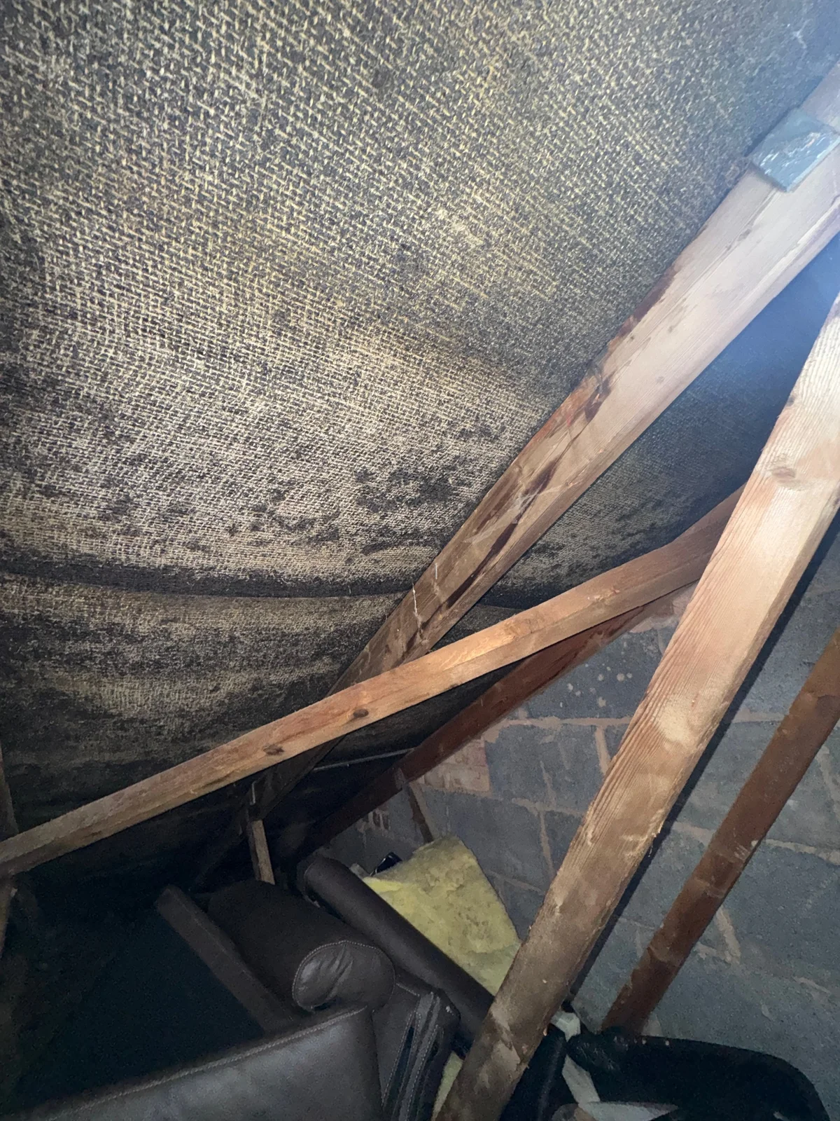 Extensive speckled staining to roof underlay, with adjacent timbers visible.