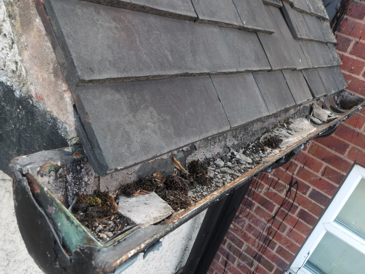An elevated view shows roofing fragments, moss and debris along a gutter beneath the roof covering.